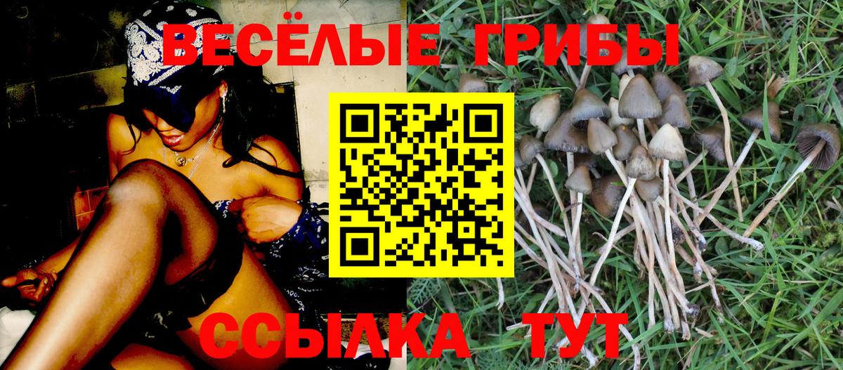 Псилоцибиновые грибы MAGIC MUSHROOMS Нурлат
