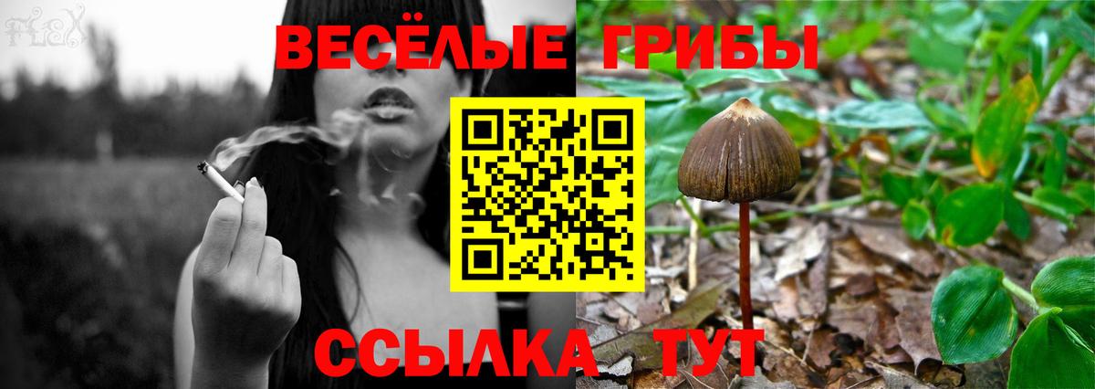 Псилоцибиновые грибы Magic Shrooms  Вход с VPN  Нурлат 